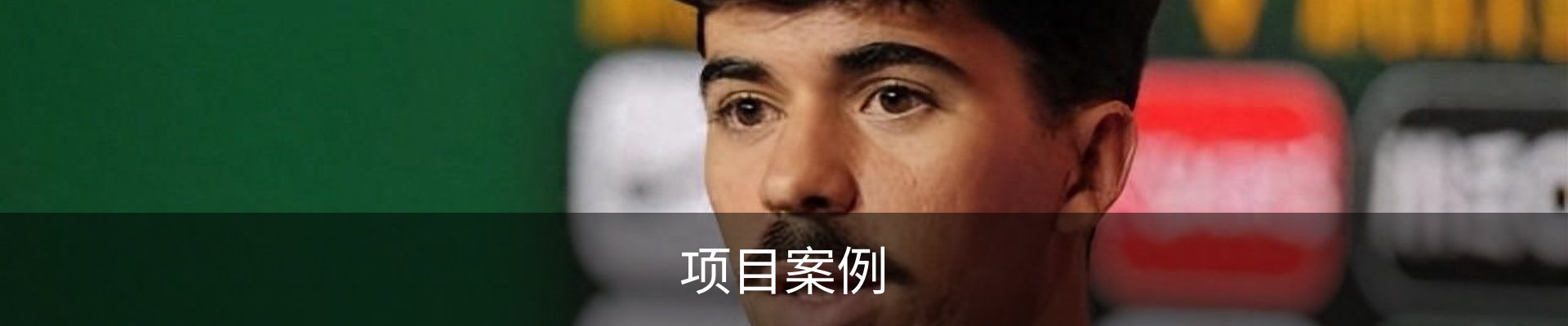 项目案例