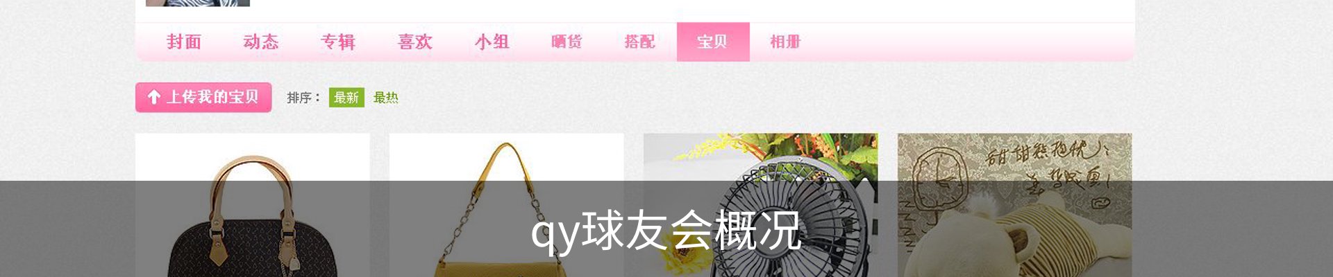 qy球友会概况